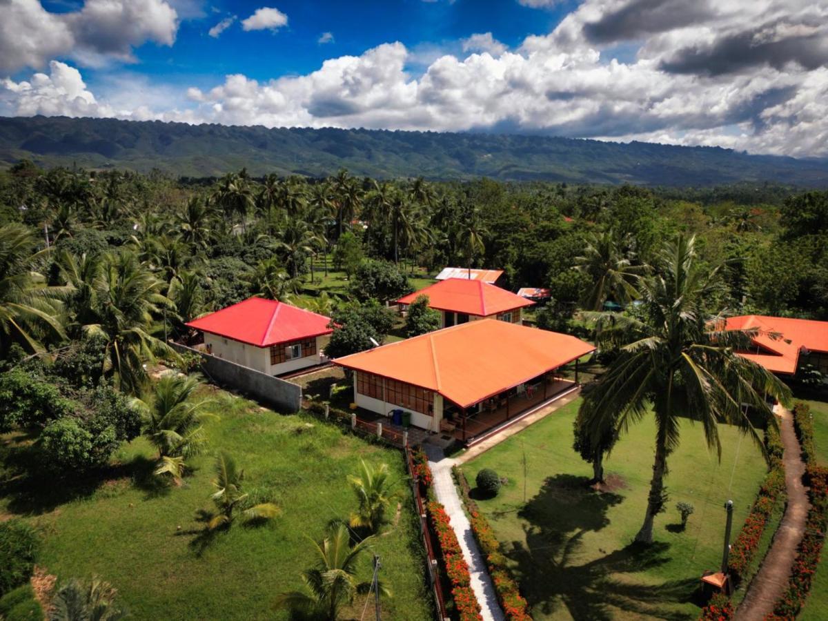 Villa Alessandra Homestay Moalboal Zewnętrze zdjęcie